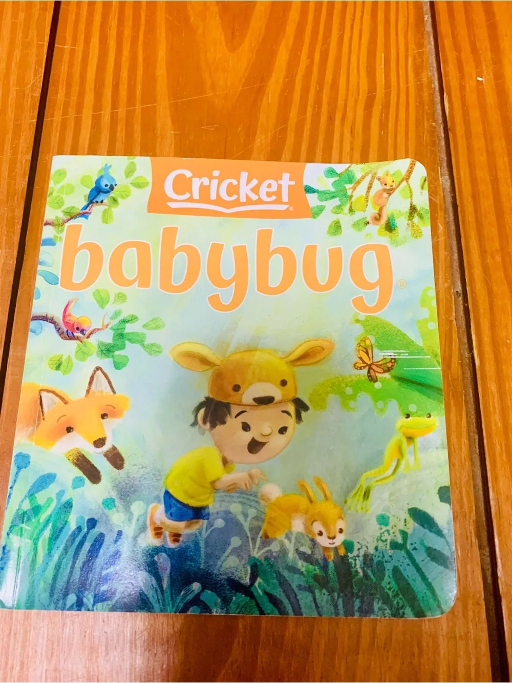 Babybug Kids Book - Colorful Blue & Orange Cover